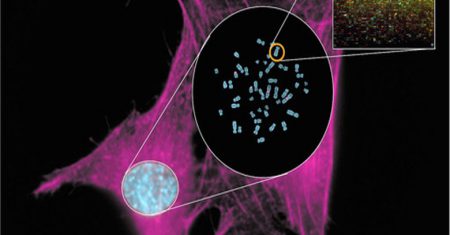 robots-biomedicos-contra-enfermedades-raras-y-tumores_image_380