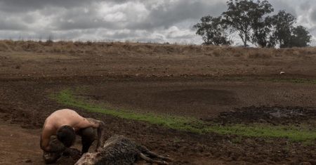 impacto de la crisis climática