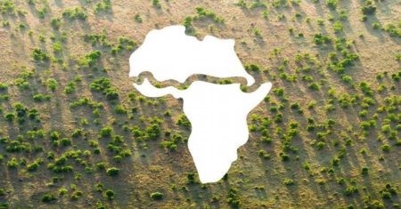 Green Wall: una gran cadena de árboles del oeste al este de África.