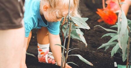 Así son los colegios que buscan enseñar con la naturaleza.