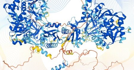 proteínas