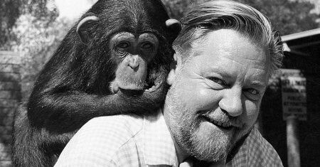 Gerald Durrel con una hembra de chimanxcé de Sierra Leona.