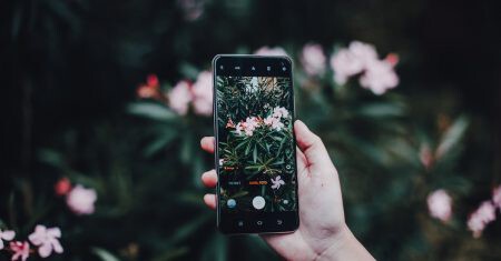 Identificar plantas con una app