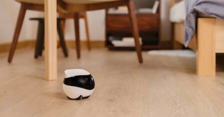 EBO SE robot para vigilar mascotas