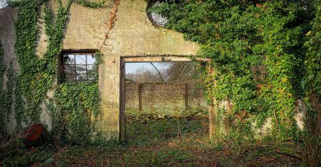 islas del abandono