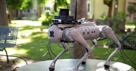 robot con forma de perro