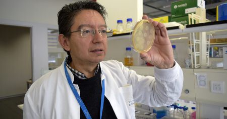 Alfonso Jaramillo con bacterias que aprenden código morse