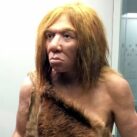 neandertales