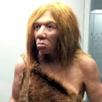 neandertales