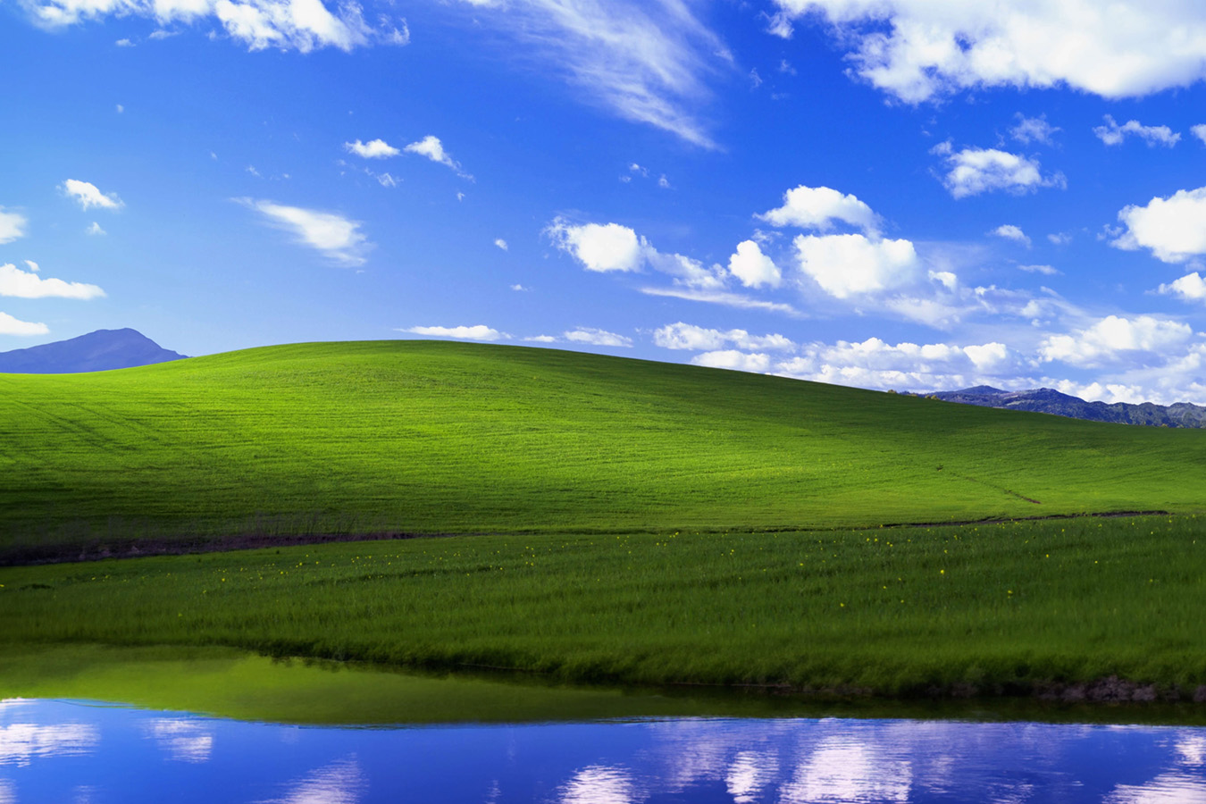 ¿Qué ha pasado con Windows XP?