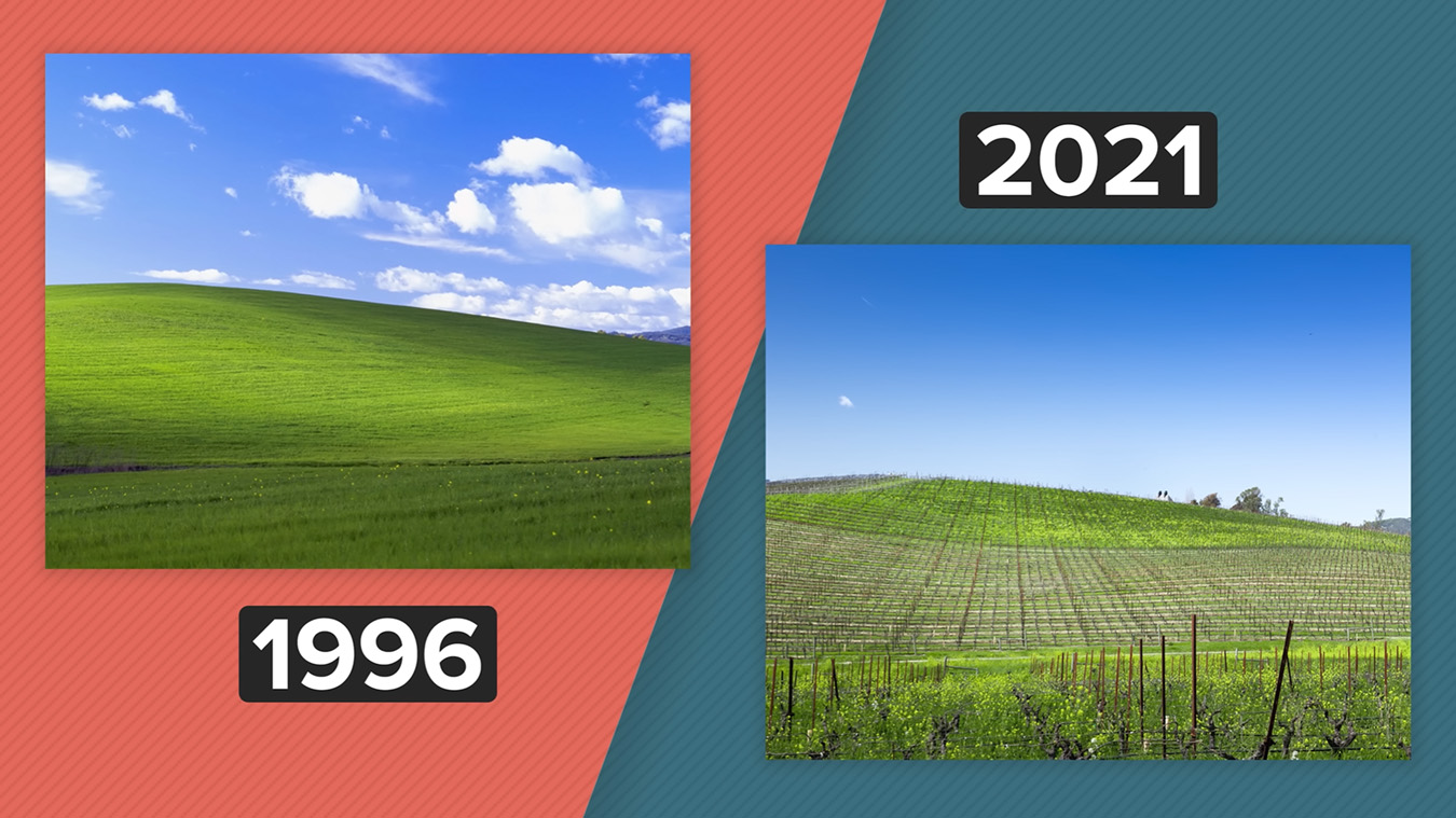 ¿Qué Windows vino después del XP?