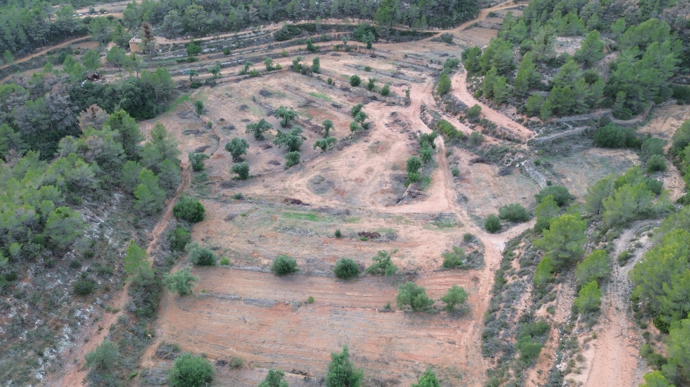 medioambiente